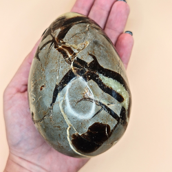  Septarian g  med eller uden Druzy/Sukker