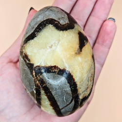  Septarian g  med eller uden Druzy/Sukker