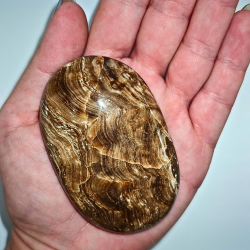 Chokolade Calcit palm