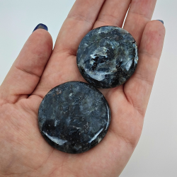 Larvikit Disc- Pakistan