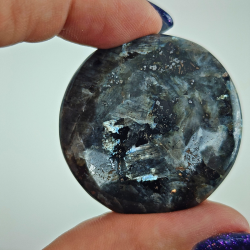 Larvikit Disc- Pakistan