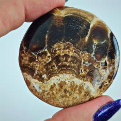 Chokolade Calcit Disc � Pakistan