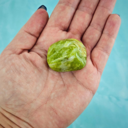  Gul Serpentin Lommesten