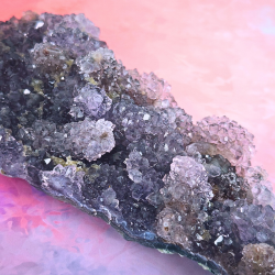 Ametyst Blomst � Brasilien