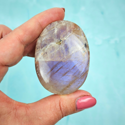 Bl� m�nesten palm