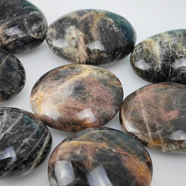 Sort M�nesten Palm