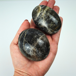 Sort M�nesten Palm