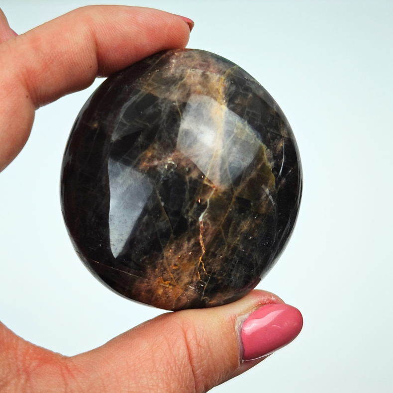 Sort M�nesten Palm