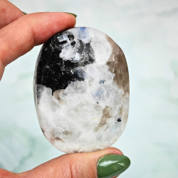 Regnbue M�nesten Palm sten