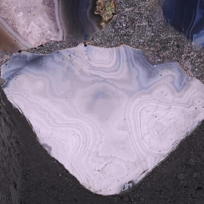Sommerfugle Grotte