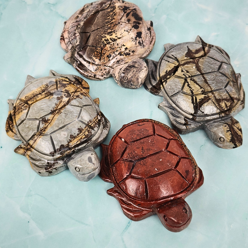 Skildpadde i Picture Jasper