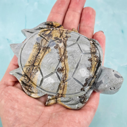 Skildpadde i Picture Jasper