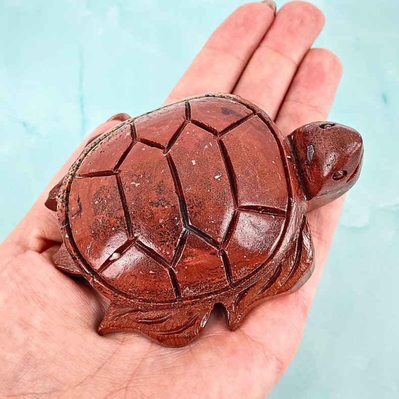 Skildpadde i Picture Jasper