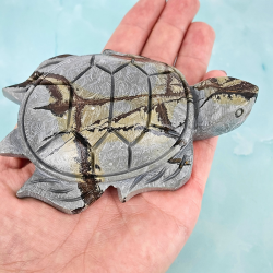 Skildpadde i Picture Jasper