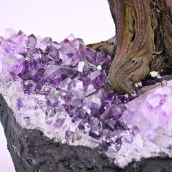 Pyrit Tr� p� R� Ametyst Klynge � Stor og Imponerende Figur (2,2 kg)