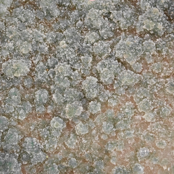 Gr�n Ametyst Geode Hjerte
